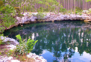 Bluehole Diving